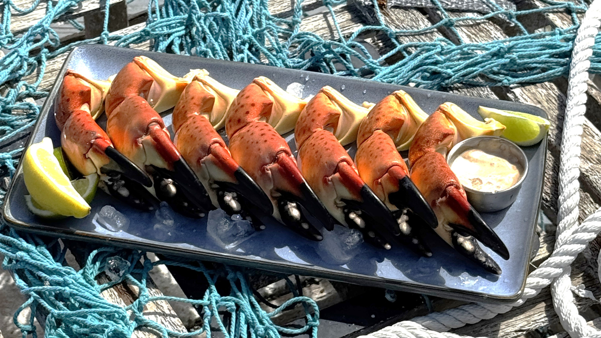 Stone Crab Claw Sizes Explained Medium to Colossal