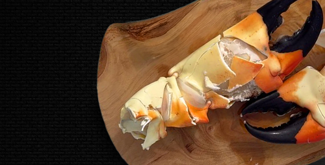 Stone Crab Claws Sizes Explained Medium to Colossal