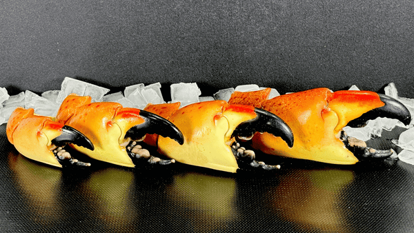 From Florida Waters to Your Door: The Stone Crab Story