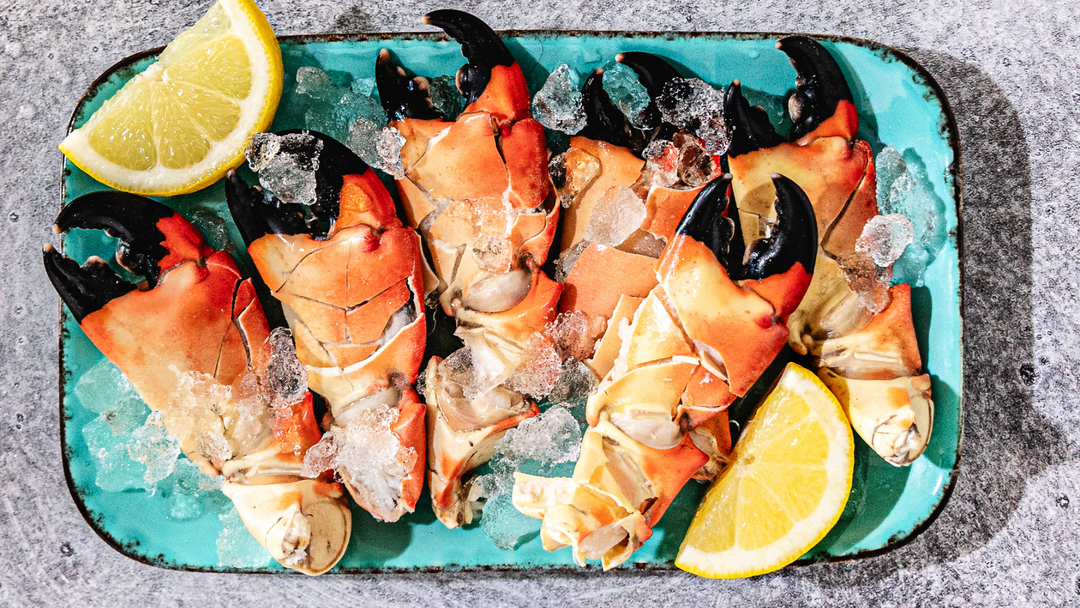 Fresh Florida Stone Crab Claw