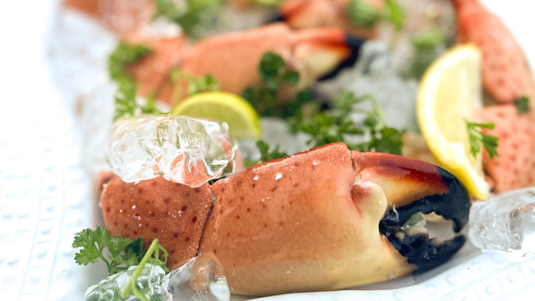 Fresh Stone Crab Claws