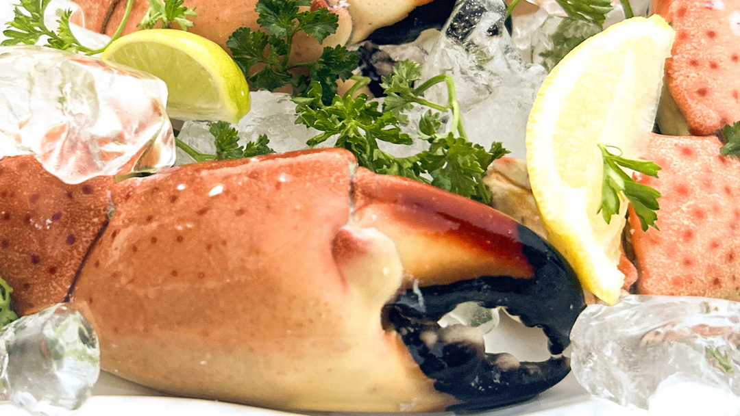 fresh Florida stone crabs