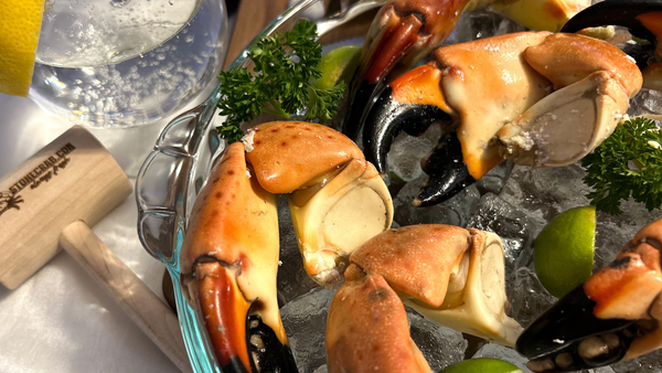 Stone Crab Claws for Sale – Fresh, Jumbo & Delivered Overnight