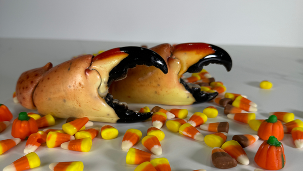Stone Crab Season and Sustainability: What Every Buyer Should Know