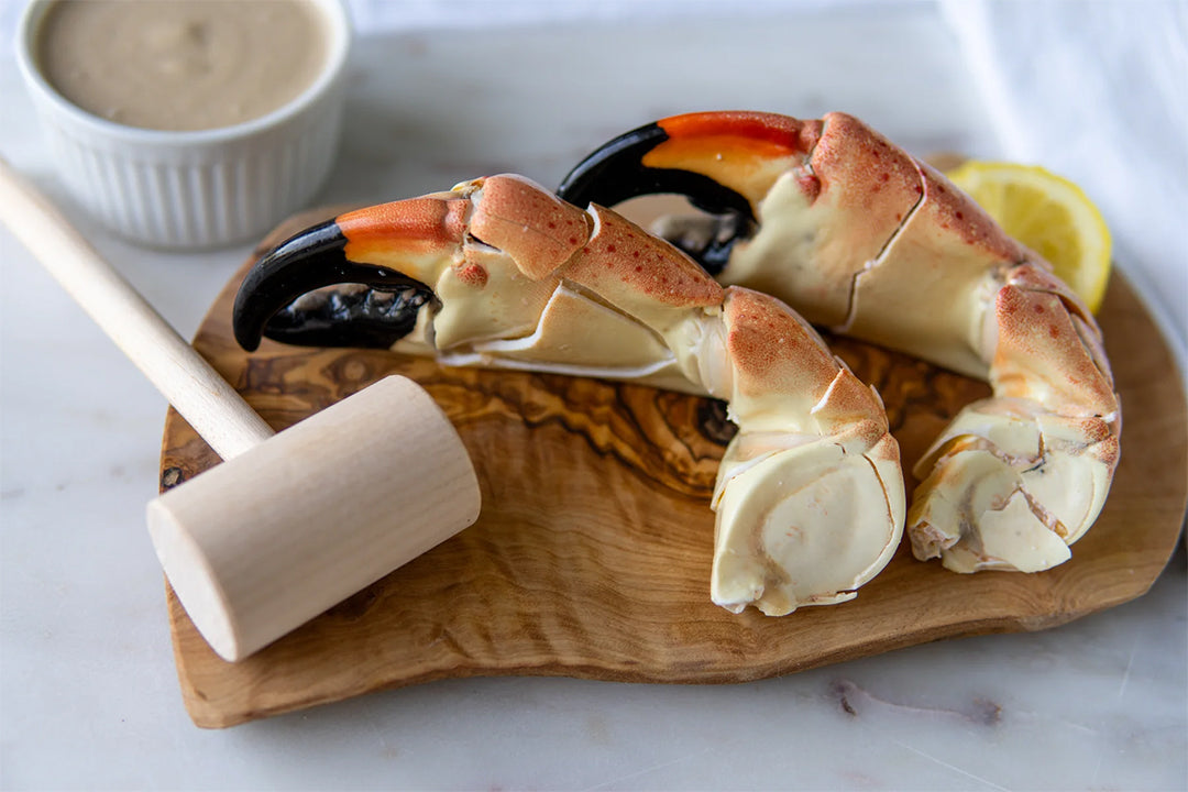 Stone Crab vs Jonah Crab: Visual ID Guide
