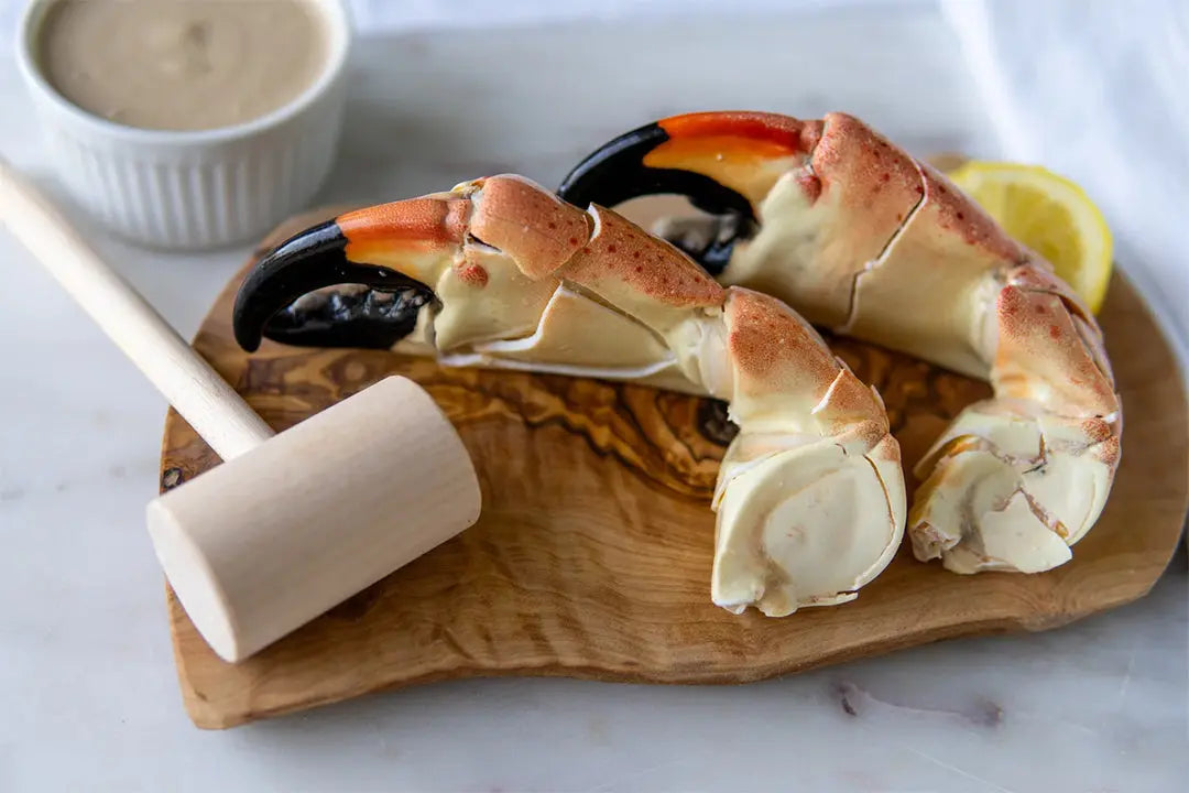 Stone Crab vs Jonah Crab: Visual ID Guide