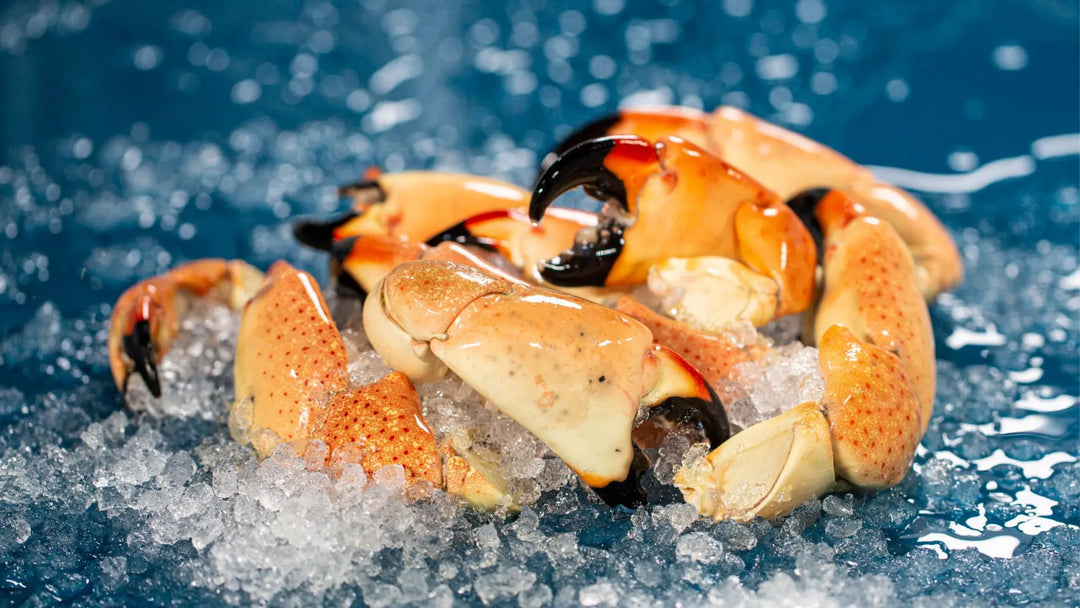Stone Crab Claws