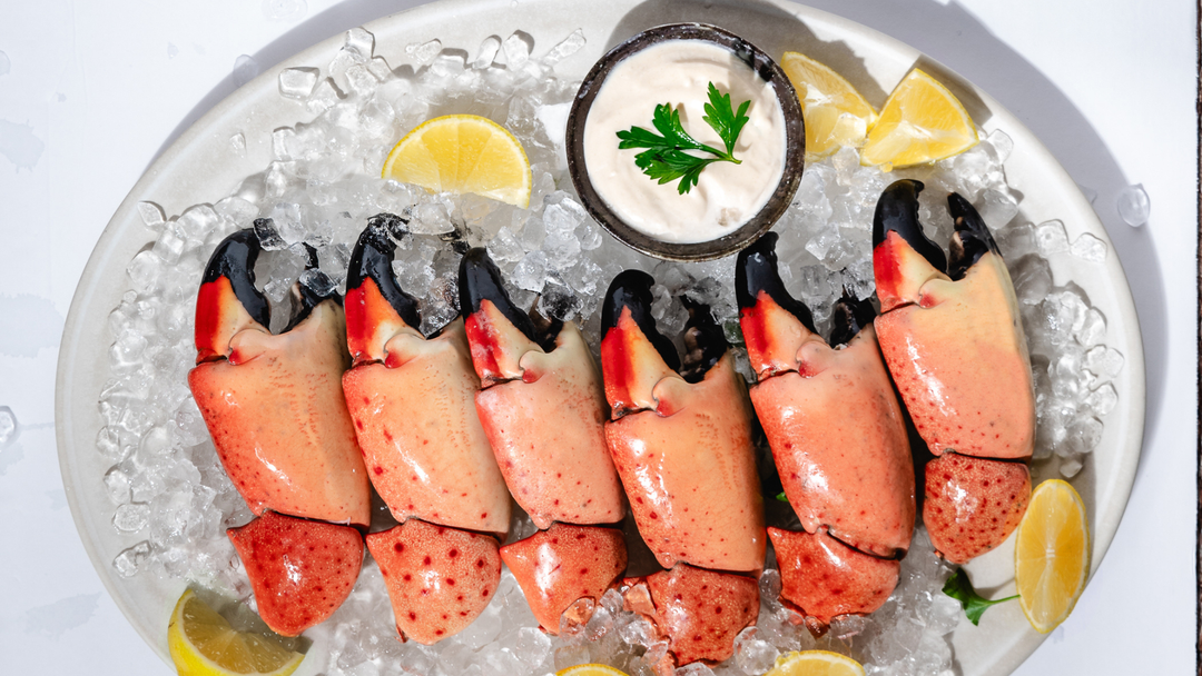 fresh Florida stone crabs