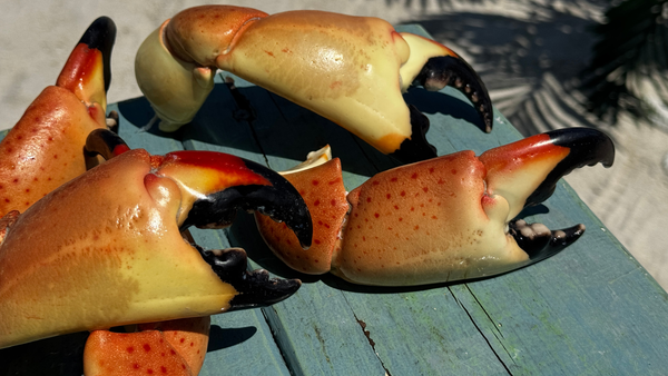 Where to Buy Premium Stone Crab Claws Without Overpaying