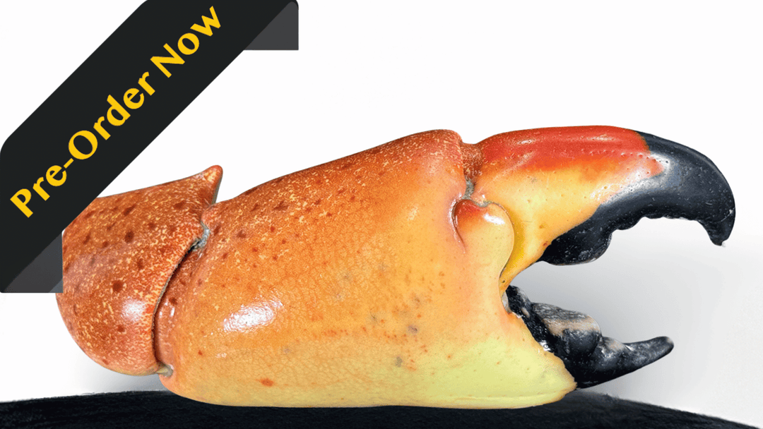 Pre-Order Stone Crab Claws