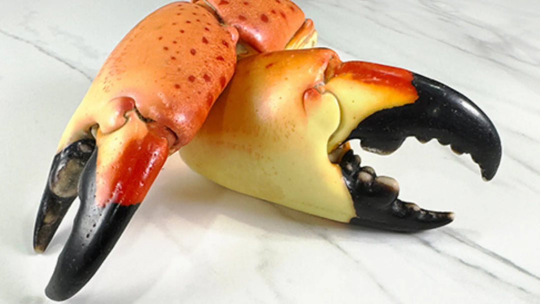 Stone Crabs