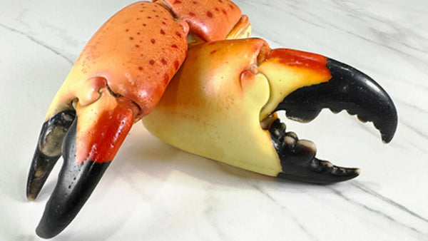 Why Now Is the Smartest Time to Buy Stone Crabs for Summer Celebrations