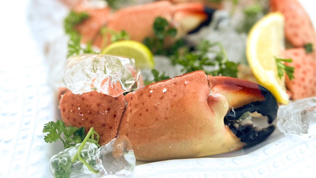 Why Some Fresh Stone Crab Claws Have More Sweetness Than Others