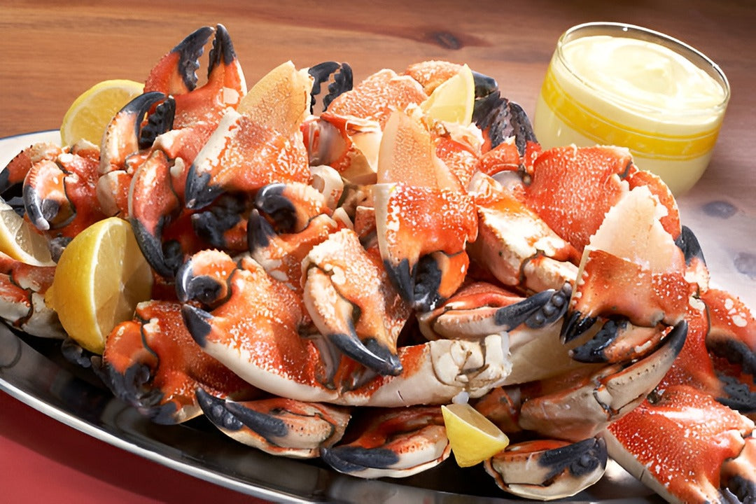 fresh Florida stone crab claws