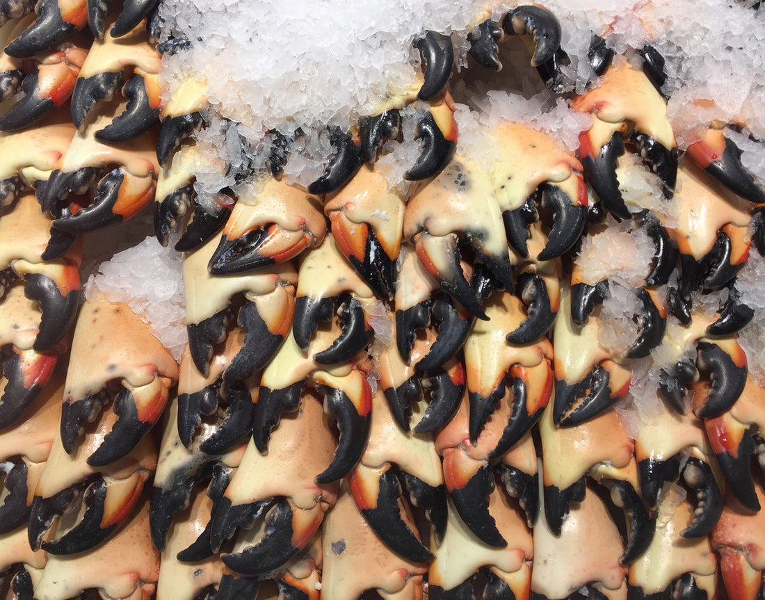 Shelf Life of Stone Crab Claws: How Long Do They Last?