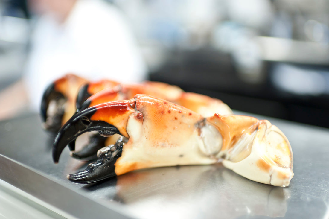 Stone Crab Claws Per Pound: What You Need to Know