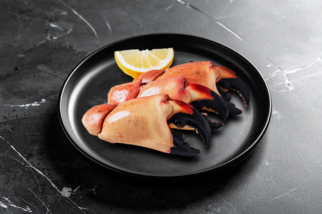 Best Place to Order Stone Crab Claws Online for Freshness and Flavor