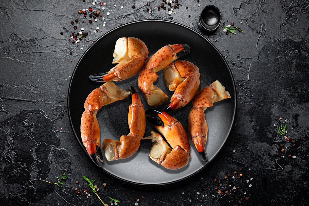 From Ocean to Table: Why Florida Stone Crab Claws Define Fresh Seafood Dining