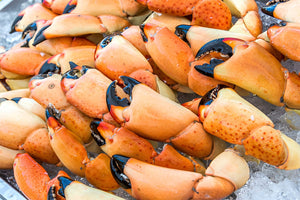 Enjoy Florida Stone Crab Claws Year-Round: Frozen & Shipped to Your Door