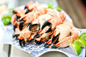 A Beginner’s Guide to Stone Crab Claws: Everything You Need to Know
