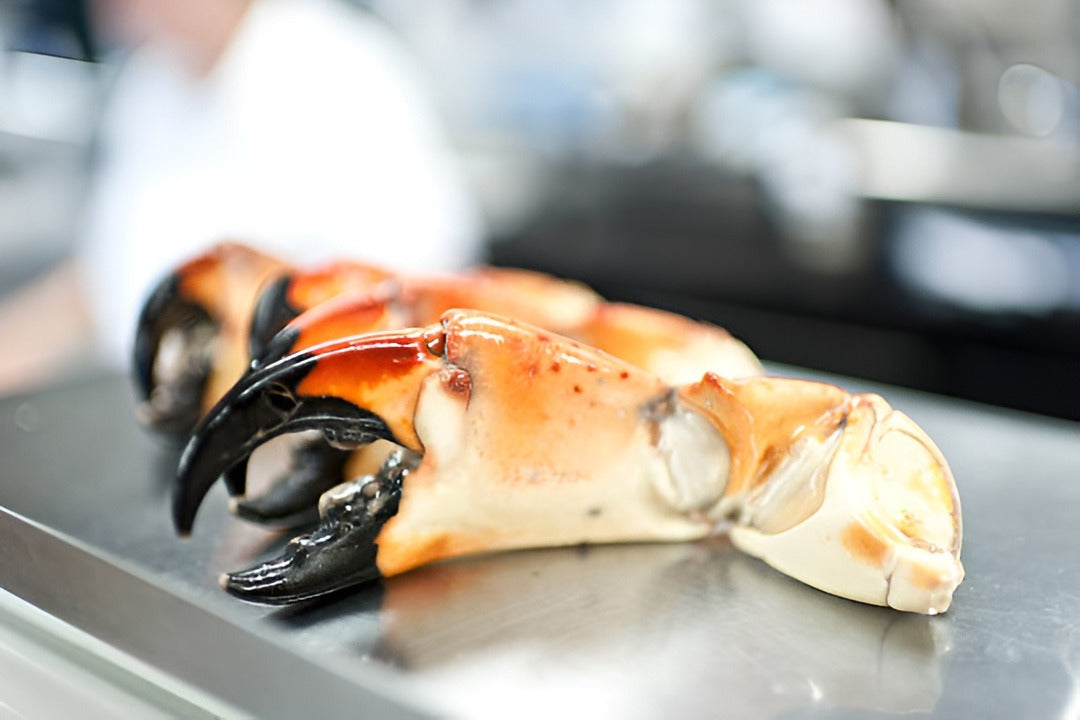 buy Florida stone crab online