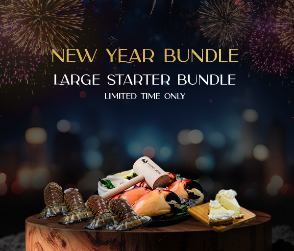 New Year Starter Bundle