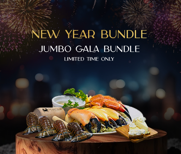 New Year Gala Bundle