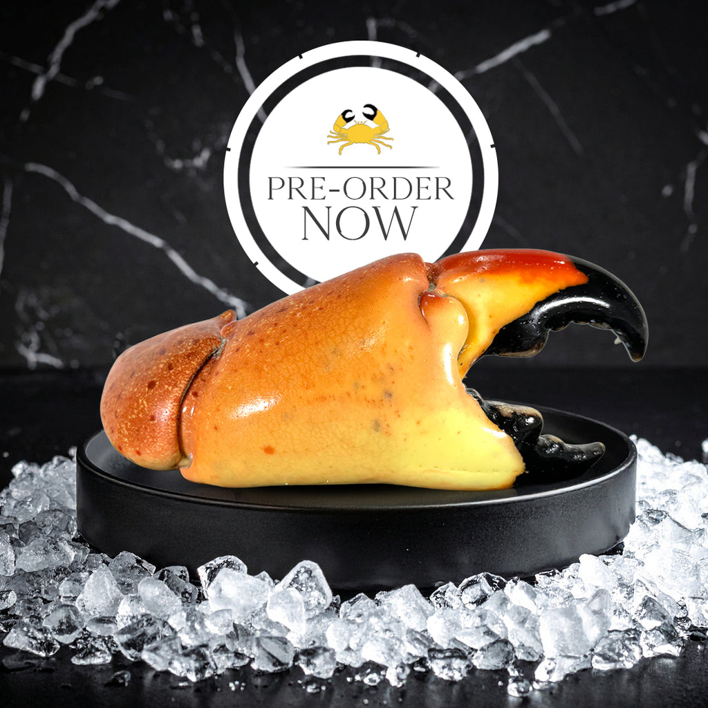 Colossal Stone Crab Claws