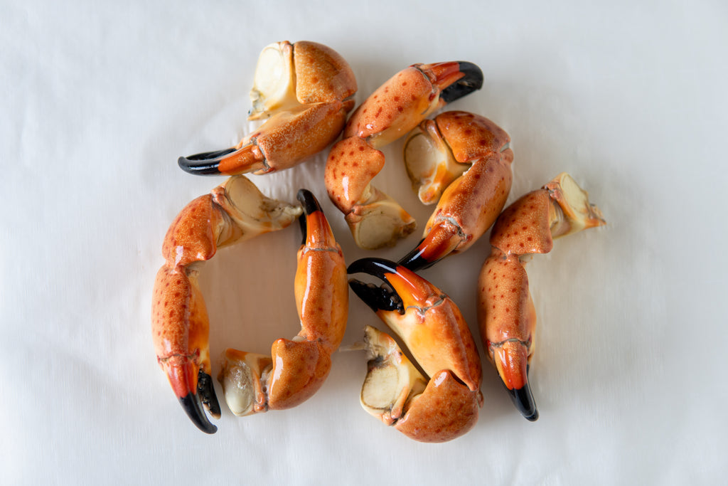 Medium Stone Crab Claws