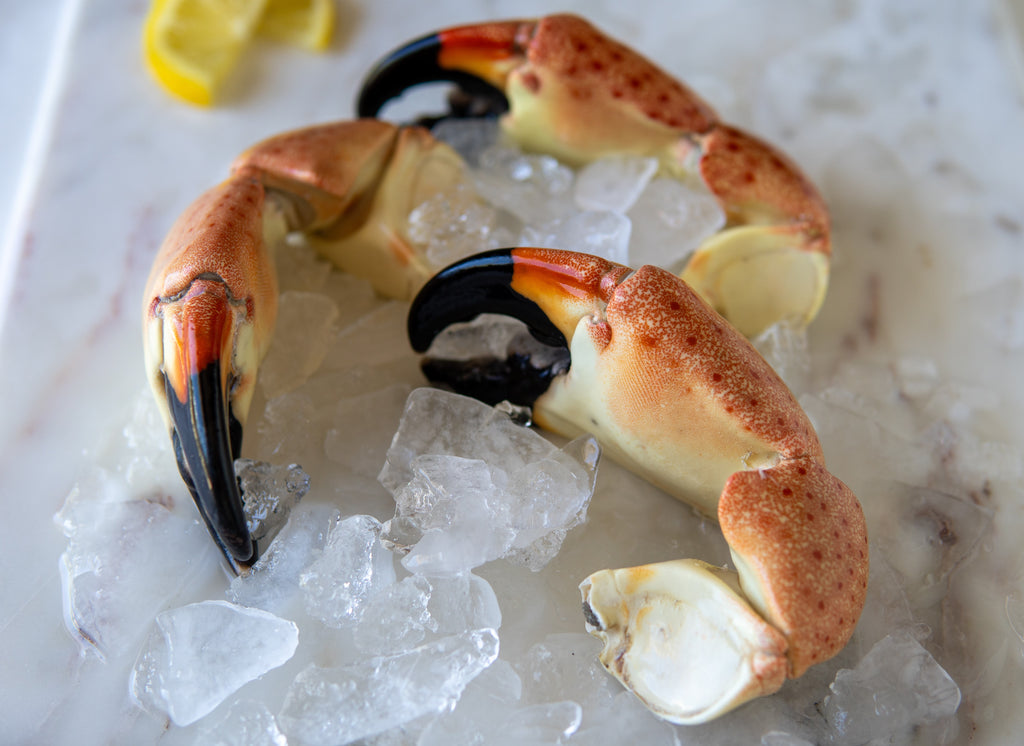 Jumbo Stone Crab Claws