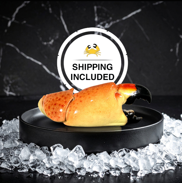 Large Stone Crab Claws