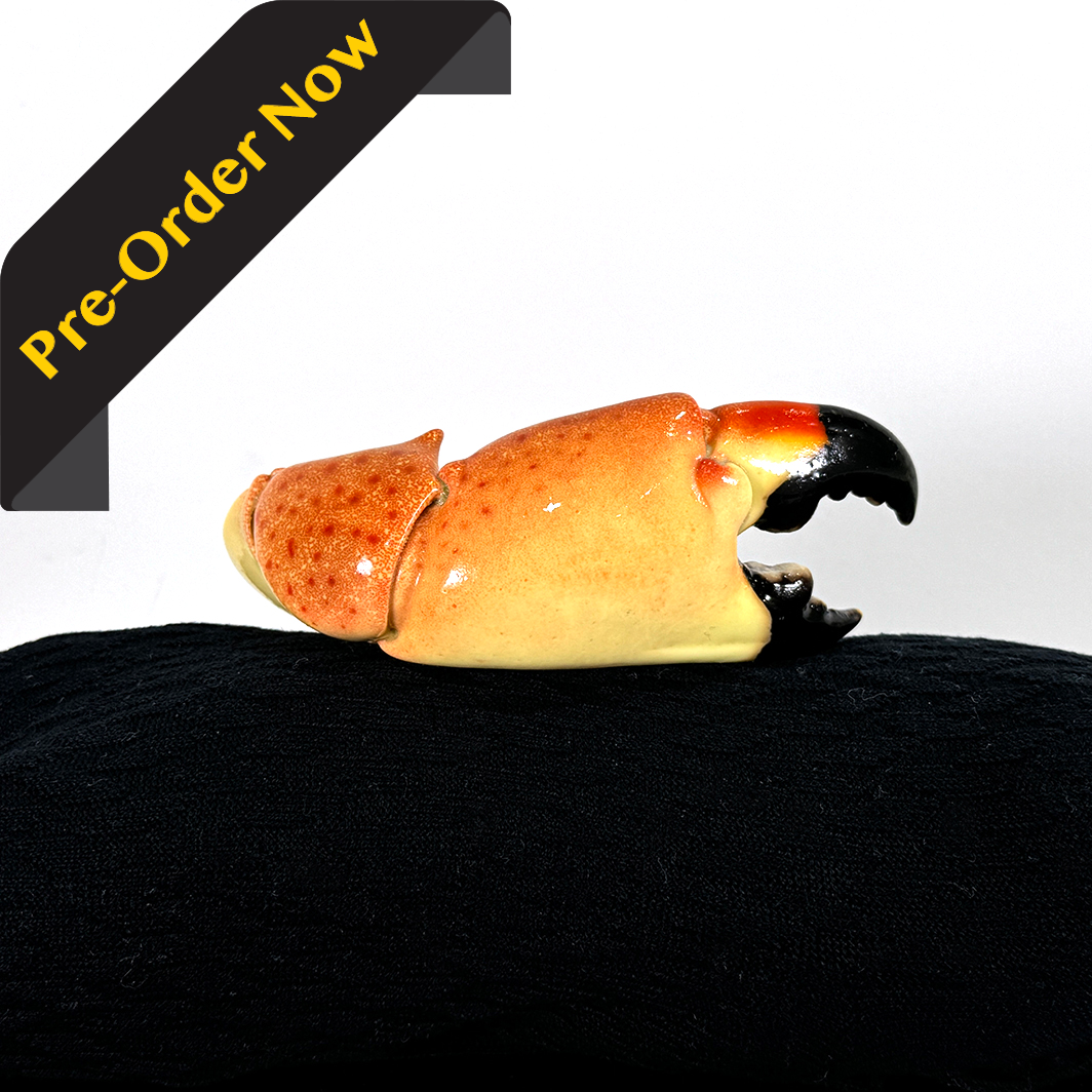 Fresh Stone Crab Claws