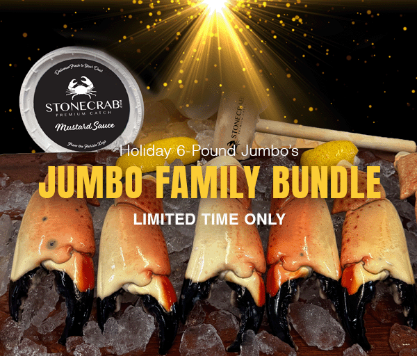 Holiday Family Bundle