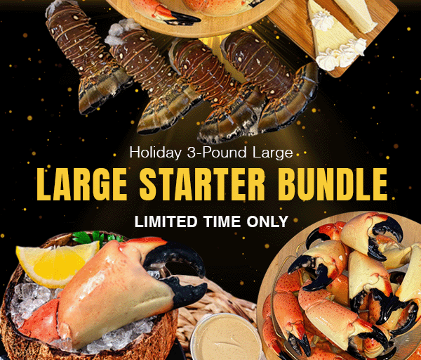 Holiday Starter Bundle