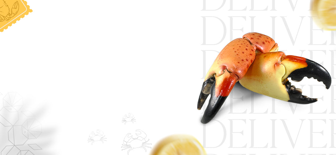 FRESH STONE CRAB <br>SEASON